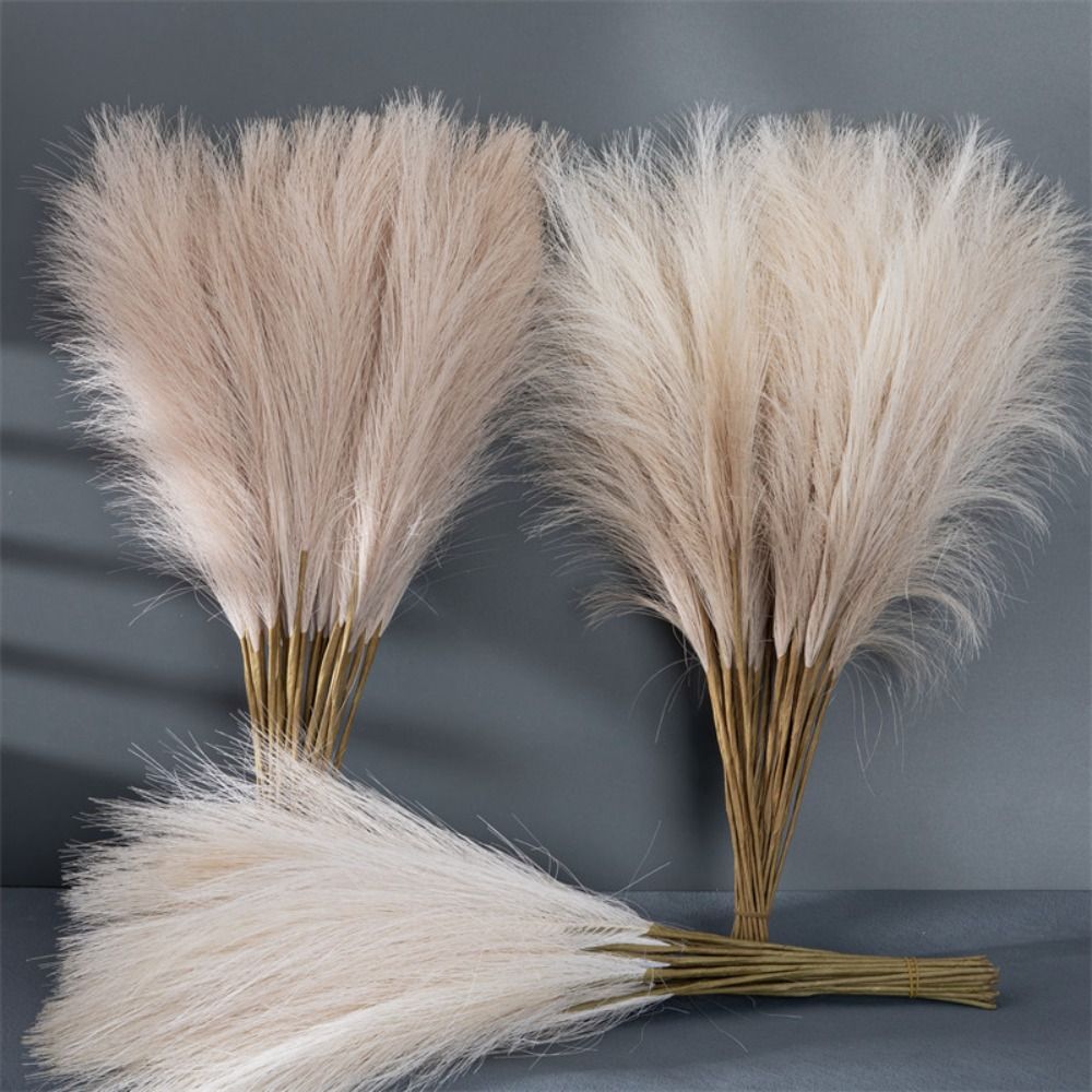 Pampas Grass Decor - 10 قطع/مجموعة لتزيين المنزل، عشب البامباس