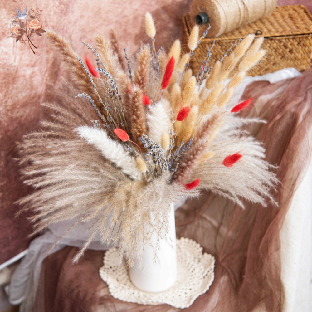 باقة زهور بامباس طبيعية مجففة  - مراجعة Pampas Grass Decor وسعره