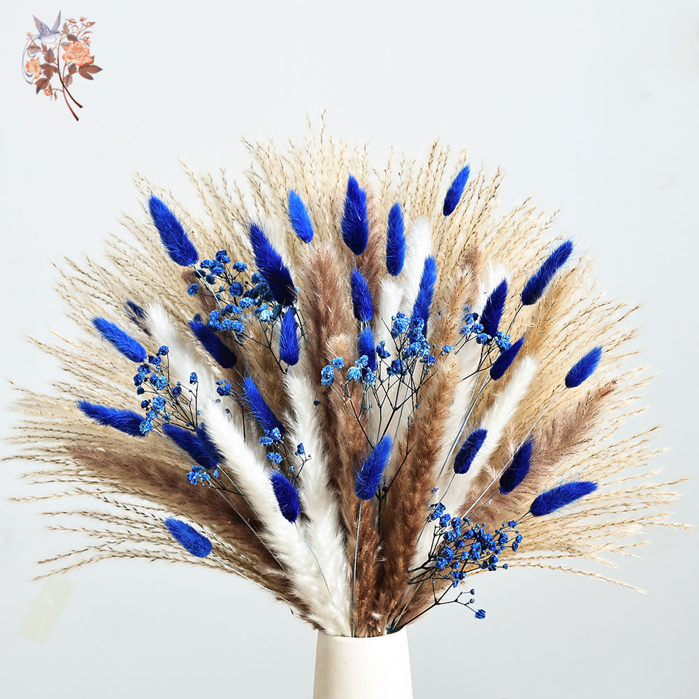 ستارة إضاءة LED لعيد الميلاد و - مراجعة Home Decor Free App وسعره