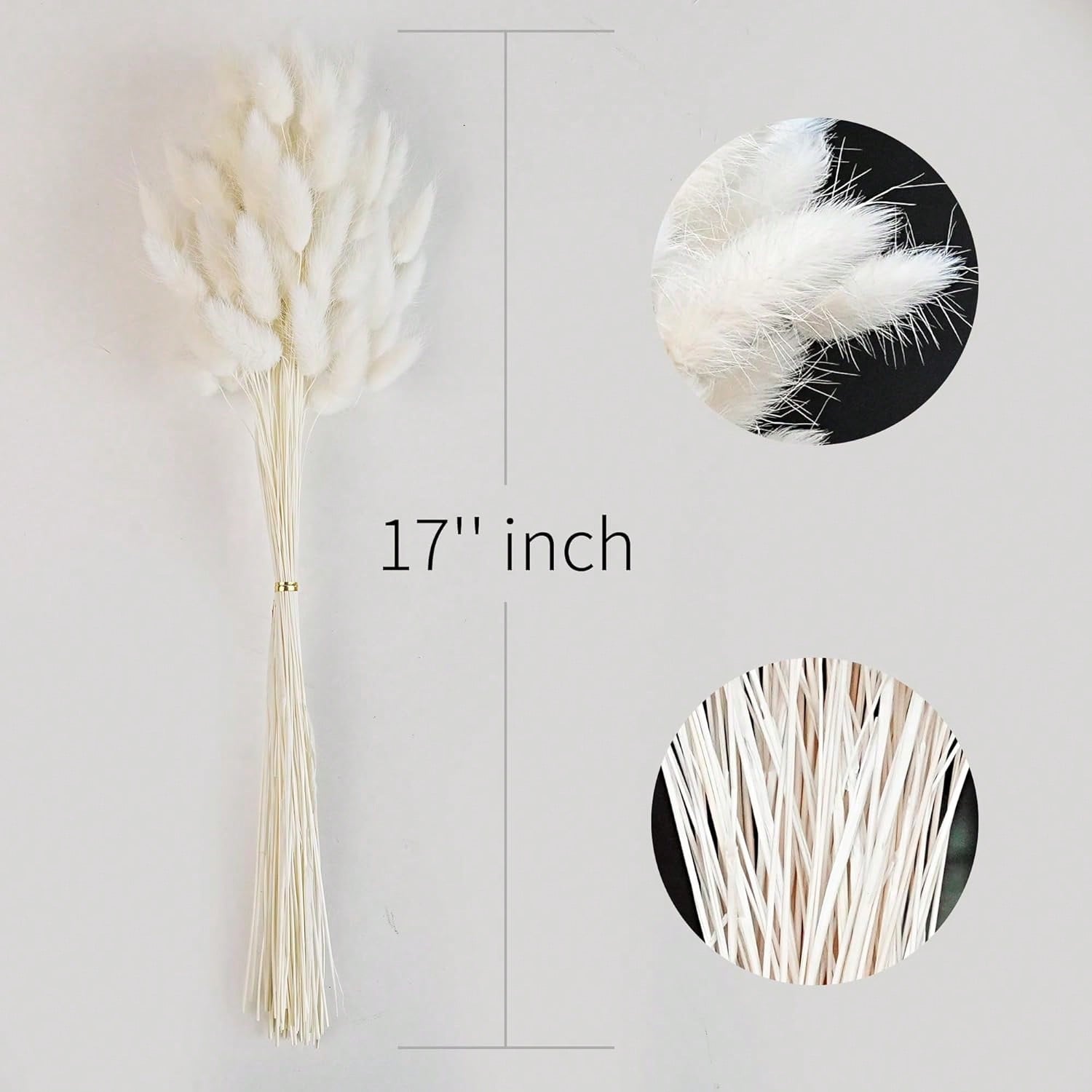 120 قطعة ديكور عشب بامباس المج - مراجعة Pampas Grass Decor وسعره