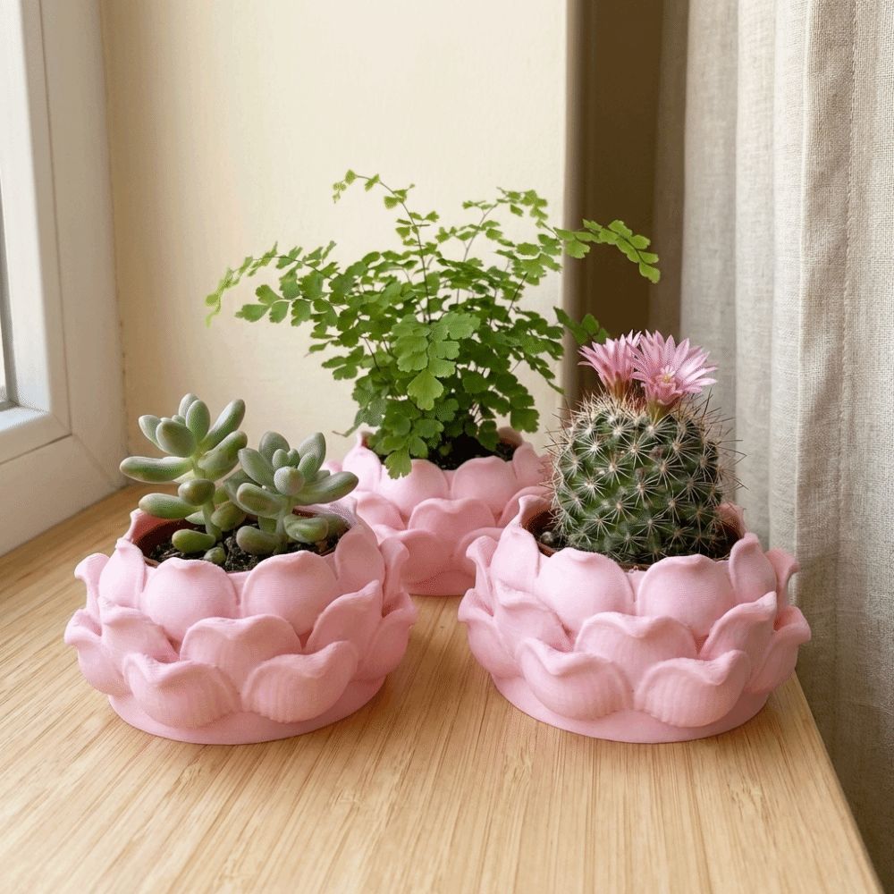 وعاء نباتات عصارية على شكل زهر - مراجعة Rattan Plant Basket وسعره